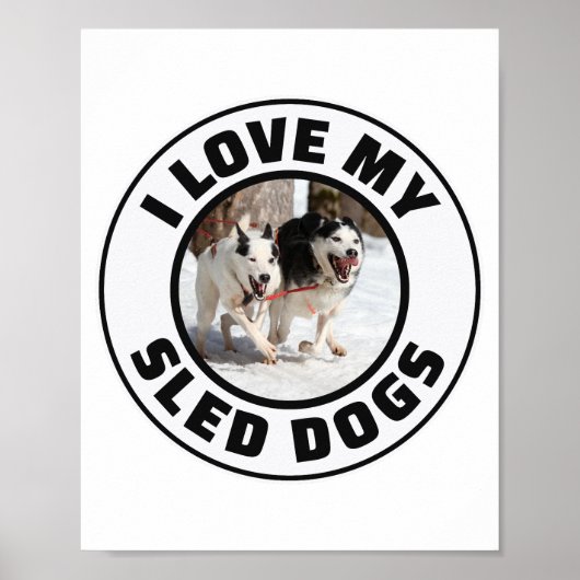 Husky Sled Dog Racing Alaskan Racers Poster (Voorkant)