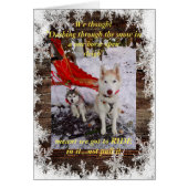 Husky sleigh (Voorkant)