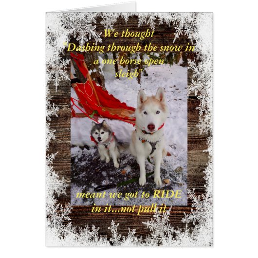 Husky sleigh (Voorkant)