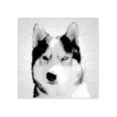 Husky Stamps Custom Siberische Husky Stamps Rubberstempel (Afrduk)