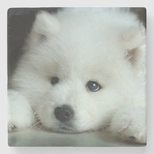 Husky Stenen Onderzetter (Voorkant)