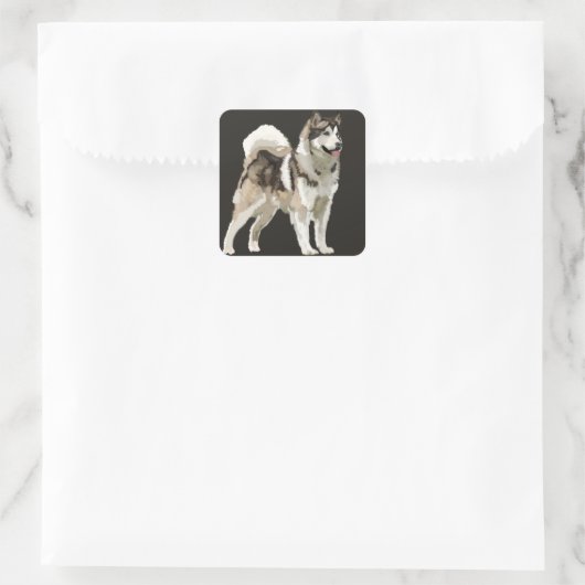 Husky Sticker (Tas)