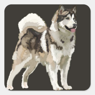 Husky Sticker
