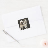 Husky Sticker (Envelop)