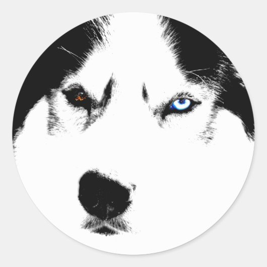 Husky Stickers Siberian Husky Malamute Stickers (Voorkant)