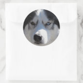 Husky Stickers Siberian Husky Malamute Stickers (Tas)