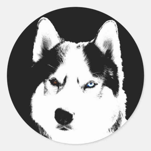 Husky Stickers Siberian Husky Malamute Stickers (Voorkant)