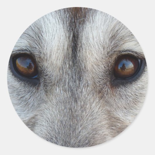 Husky Stickers Siberian Husky Wolf Pup Stickers (Voorkant)