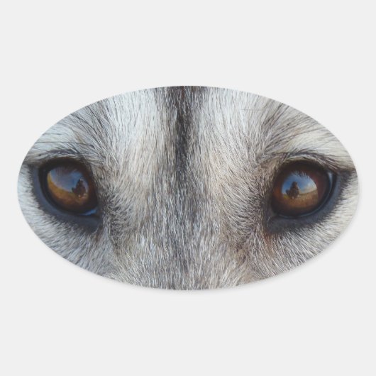 Husky Stickers Siberian Husky Wolf Pup Stickers (Voorkant)