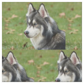 Husky Stof (Close Up)