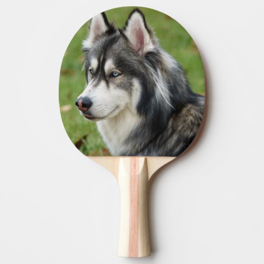 Husky Tafeltennisbatje (Voorkant)