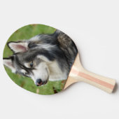 Husky Tafeltennisbatje (Zijkant)