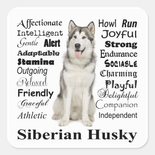 Husky Traits Stickers (Voorkant)