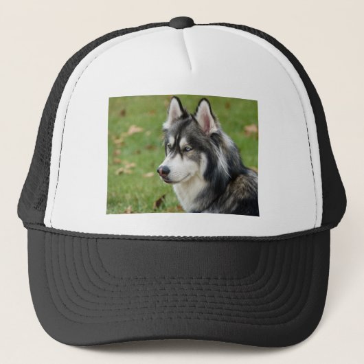 Husky Trucker Pet (Voorkant)
