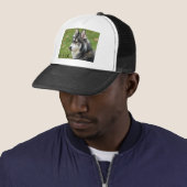 Husky Trucker Pet (In situ)