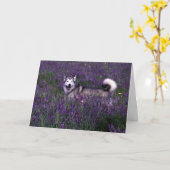 Husky Verjaardagskaart Kaart (Gele Bloem)