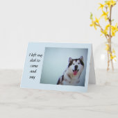 **HUSKY VERLIET ZIJN SLEE OM TE ZEGGEN **** GELUKK KAART (Gele Bloem)