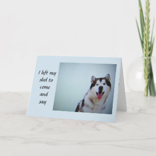**HUSKY VERLIET ZIJN SLEE OM TE ZEGGEN **** GELUKK KAART