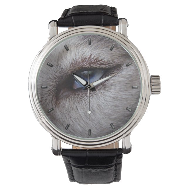 Husky Watch Siberian Husky Malamute Wrist Watch Horloge (Voorkant)