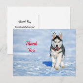 Husky Welpen Sneeuw Foto Bedankt Briefkaart (Voorkant / Achterkant)