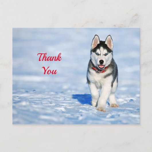 Husky Welpen Sneeuw Foto Bedankt Briefkaart (Voorkant)