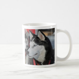 Huskyhond voor een race, Canada Koffiemok