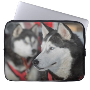 Huskyhond voor een race, Canada Laptop Sleeve