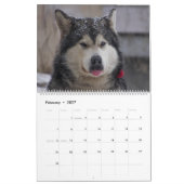 Husky's Hondenmuur Vieren Kalender (Feb 2027)