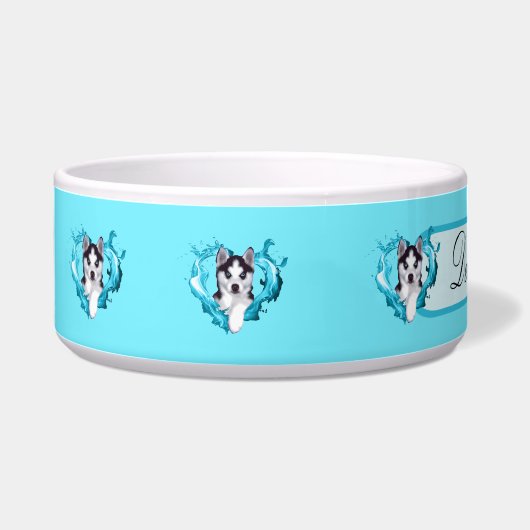 Huskywelpe mit Herz hellblau Rüde Voerbakje (Links)