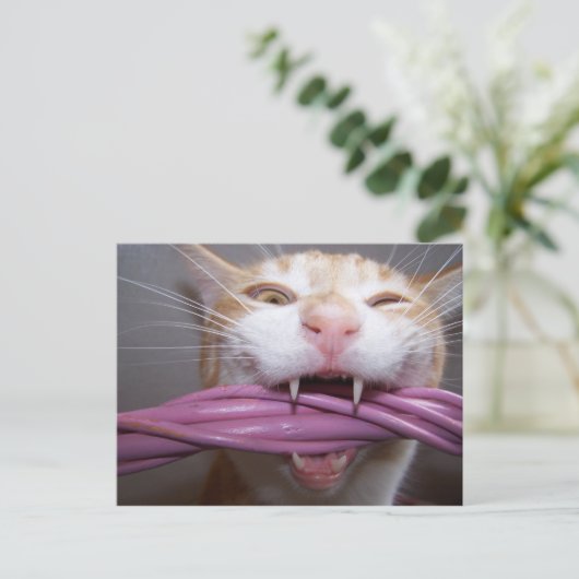 Hust Briefkaart (Staand voorkant)