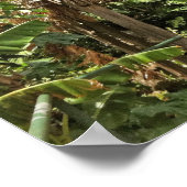 Hut in het Iao Valley State Park, Maui, Hawaii Poster (Hoek)