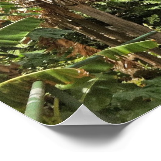 Hut in het Iao Valley State Park, Maui, Hawaii Poster (Hoek)