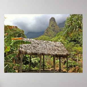 Hut in het Iao Valley State Park, Maui, Hawaii Poster