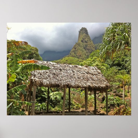 Hut in het Iao Valley State Park, Maui, Hawaii Poster (Voorkant)