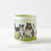 Hütehunde - Collie, Bobtail und Co. Mok (Midden)