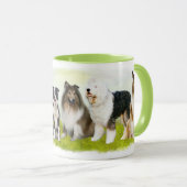 Hütehunde - Collie, Bobtail und Co. Mok (Voorkant rechts)