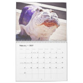 Hutto Texas... de enige stad met een H... Kalender (Feb 2027)