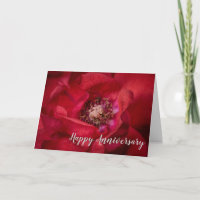 Huwelijk Jubileum, Red Rose Fotografie Groet