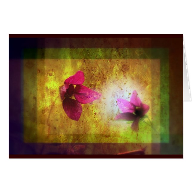 huwelijk van Titania; Zalmbessenbloem (Voorkant Horizontaal)