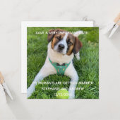 Huwelijksaankondiging met foto van hond  kaart (Voorkant / Achterkant in situ)