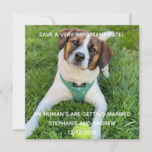 Huwelijksaankondiging met foto van hond kaart