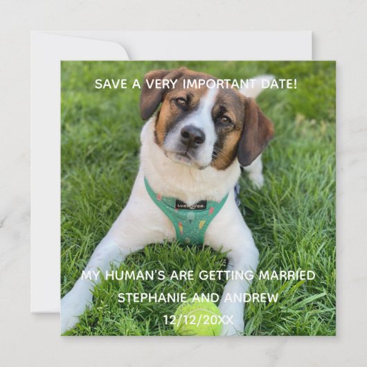 Huwelijksaankondiging met foto van hond  kaart (Voorkant)