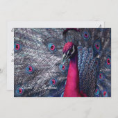 Huwelijksaankondiging Pauw Kaart (Voorkant / Achterkant)