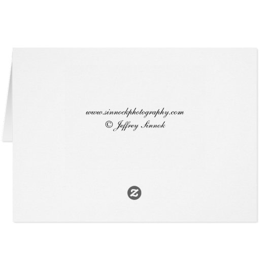 huwelijksattest uit 1877 (Achterkant Horizontaal)