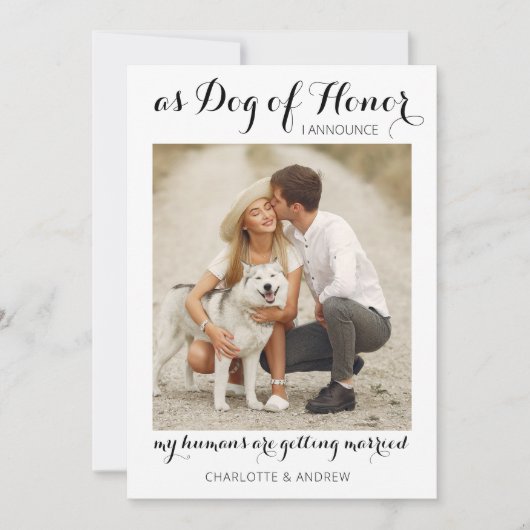 Huwelijksfeest Honden Bruidsmeisje Modern Fotorepo Aankondiging (Voorkant)