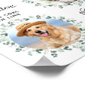 Huwelijksfeest voor honden Bar 3 foto signature dr Poster (Hoek)