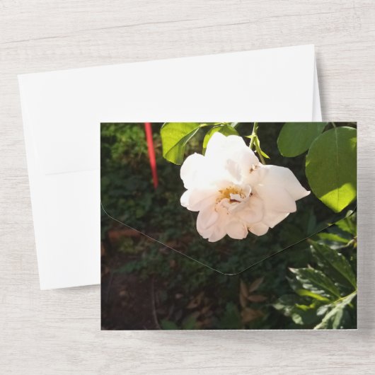 Huwelijksuitnodiging alles in één all in one uitnodiging (Achterkant)