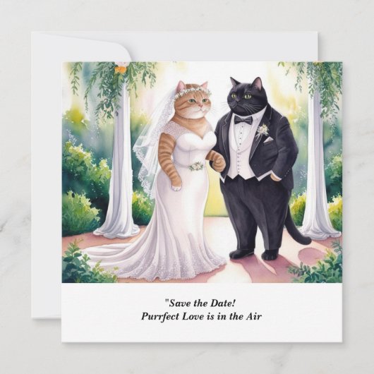 Huwelijksuitnodiging katten Save the Date (Voorkant)