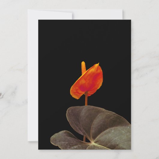 Huwelijksuitnodiging, Paarse en zwarte Kaart (Achterkant)