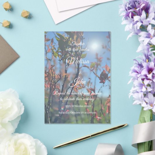 Huwelijksuitnodigingen Acryl Uitnodigingen (Insitu (Huwelijk))